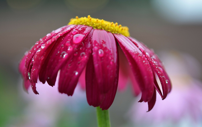 Тепло і дощ: синоптики уточнили погоду на вихідні